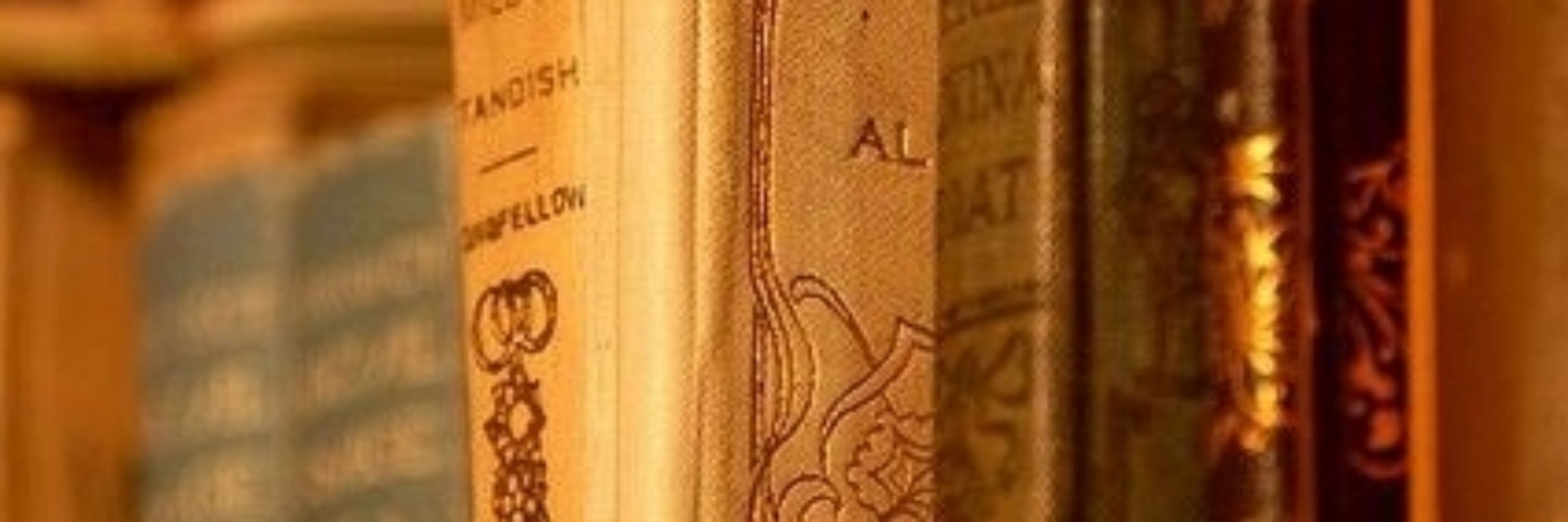 𝔟𝔲𝔪𝔟𝔩𝔢𝔟𝔢𝔢 📖✨️