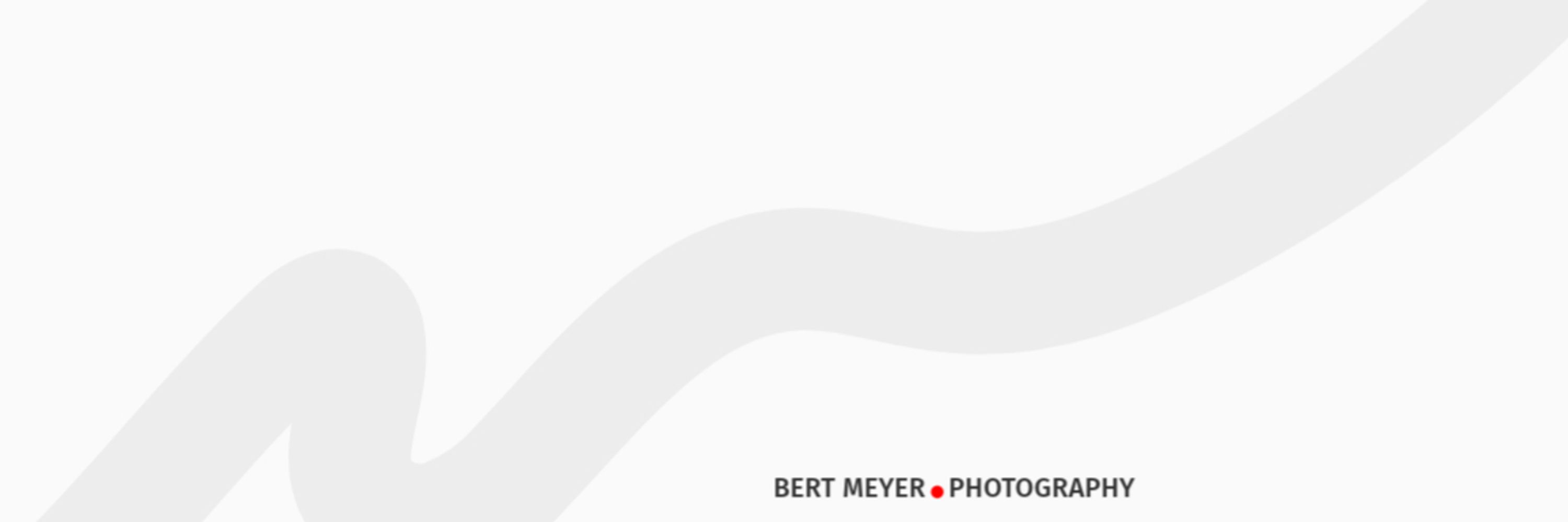 Bert Meyer