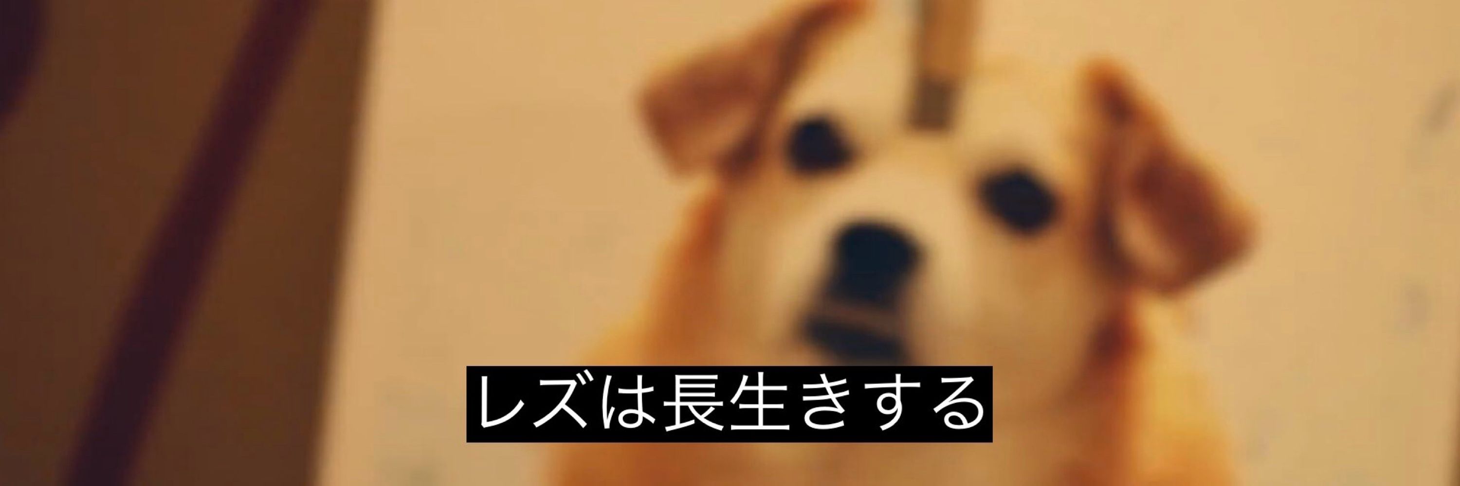 みっくす