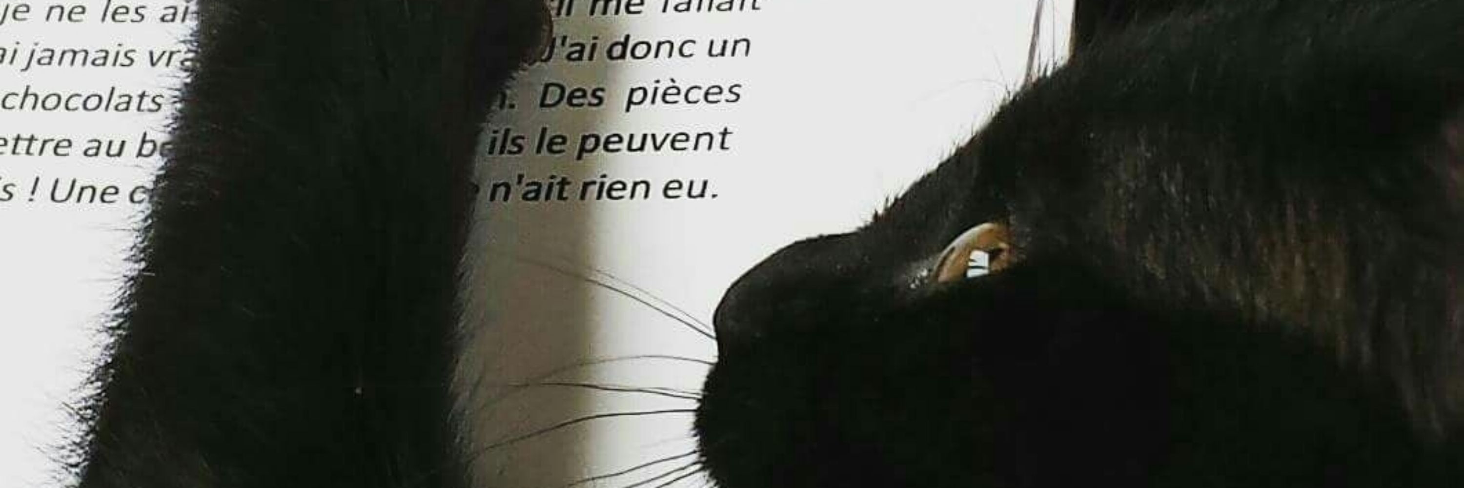 Inkc