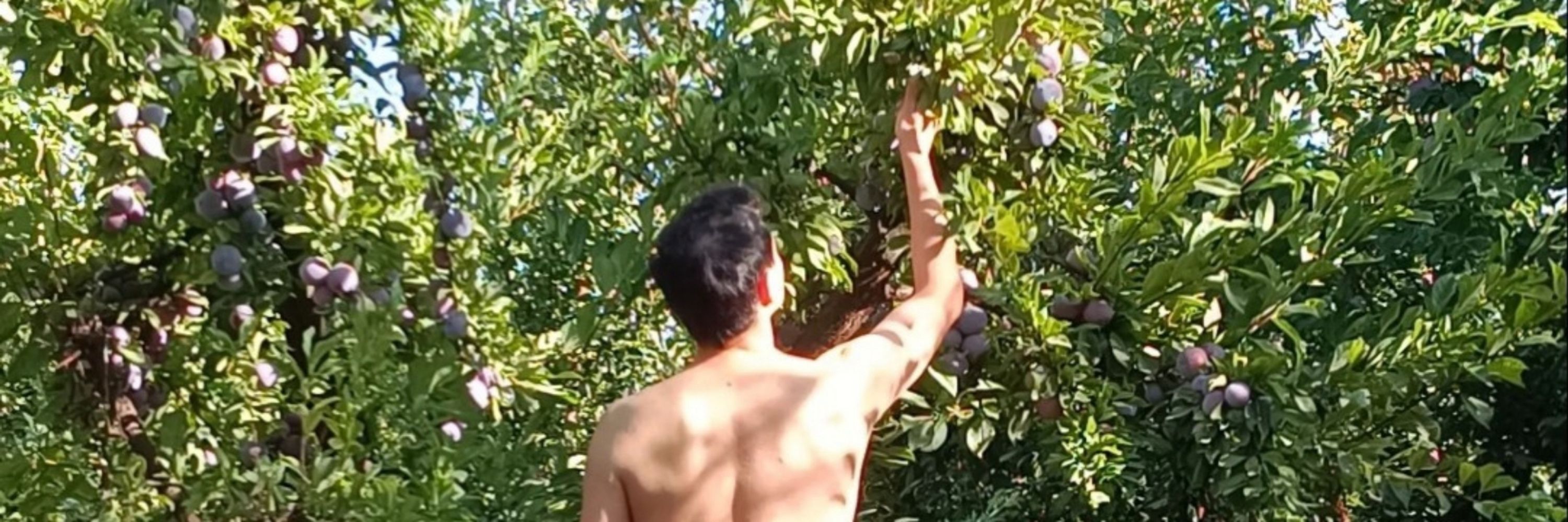 Jason