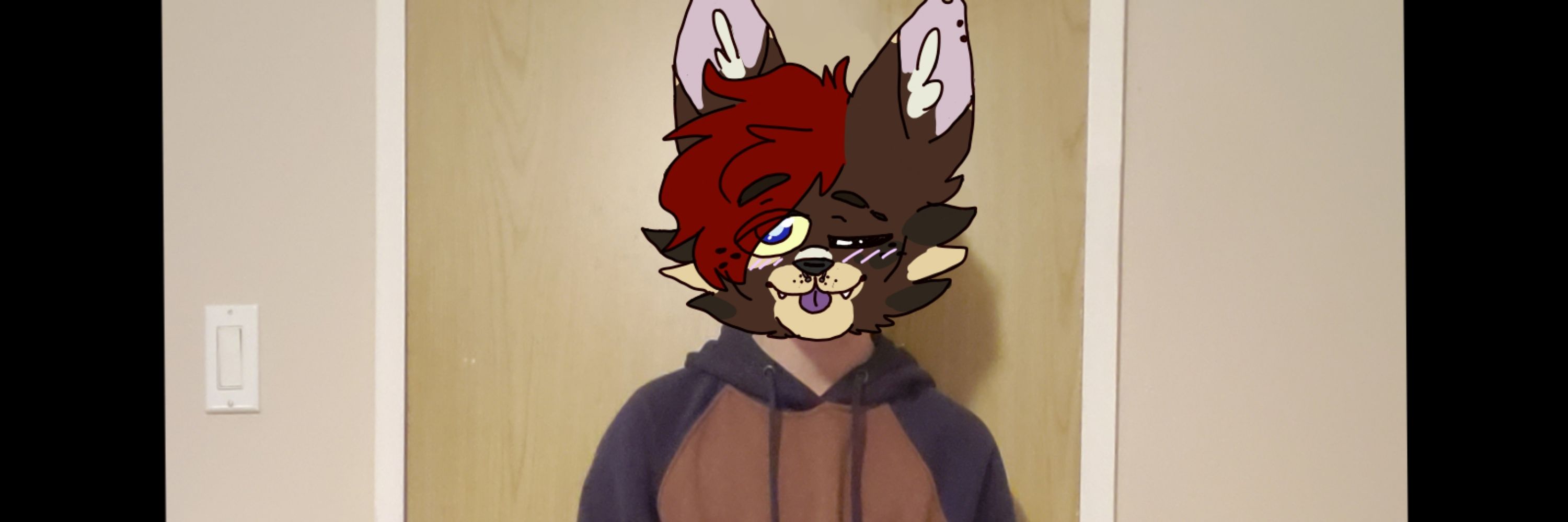 RabbitD