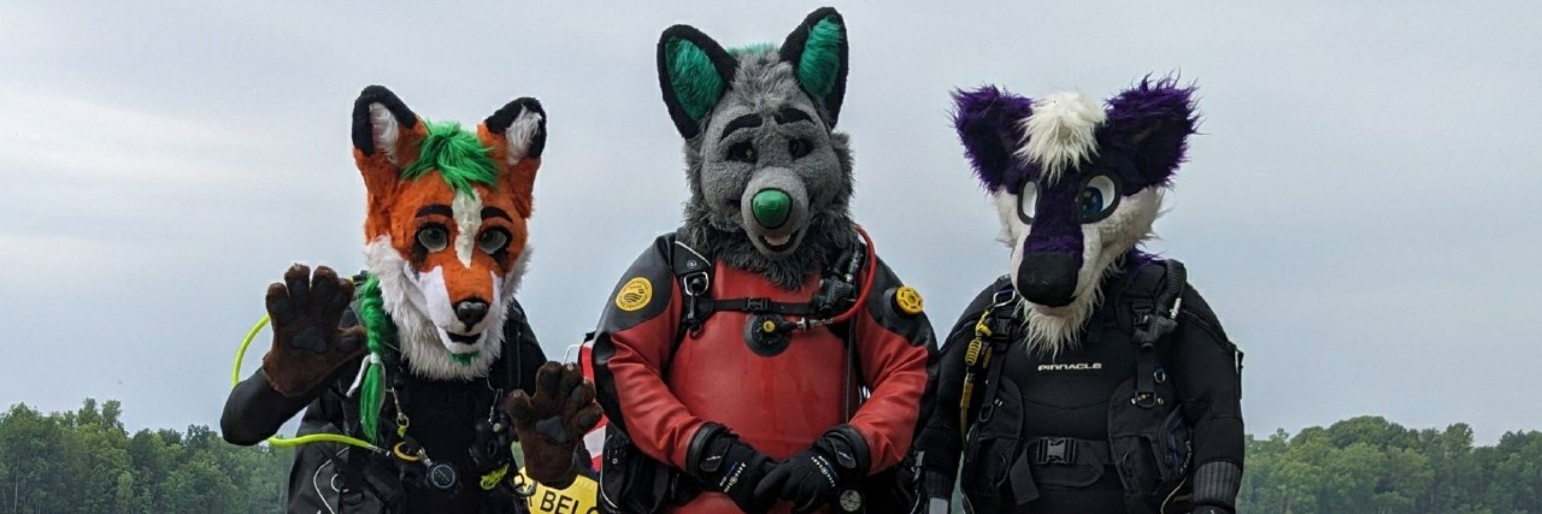 Jase Husky