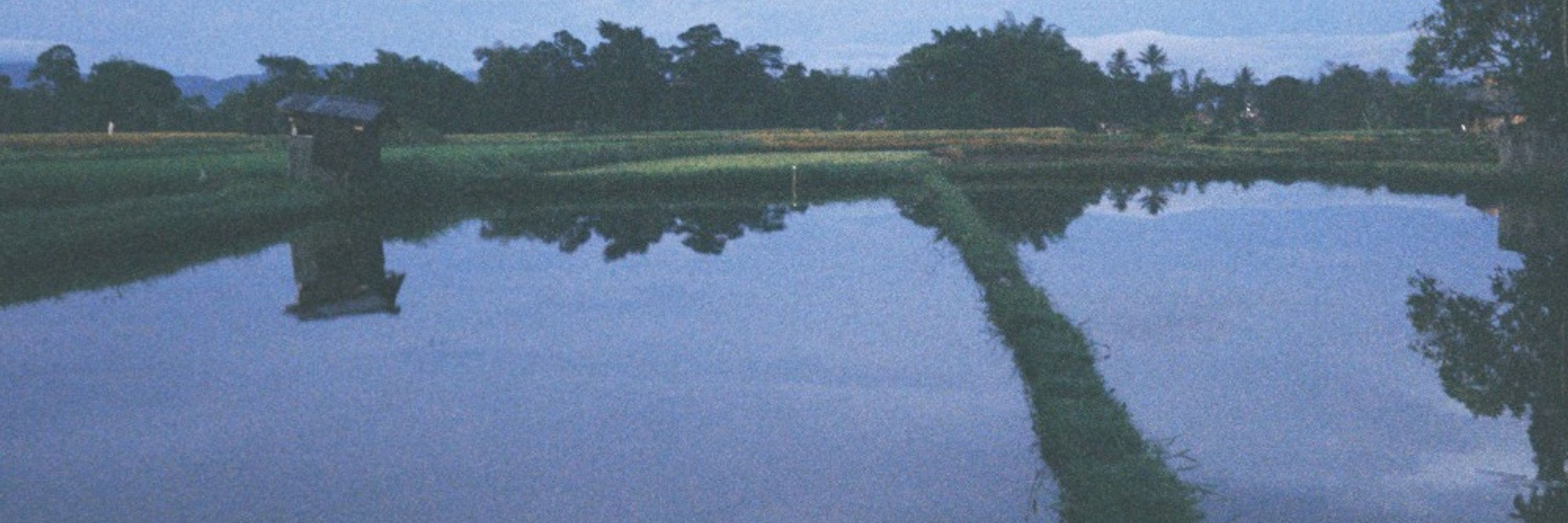∇
