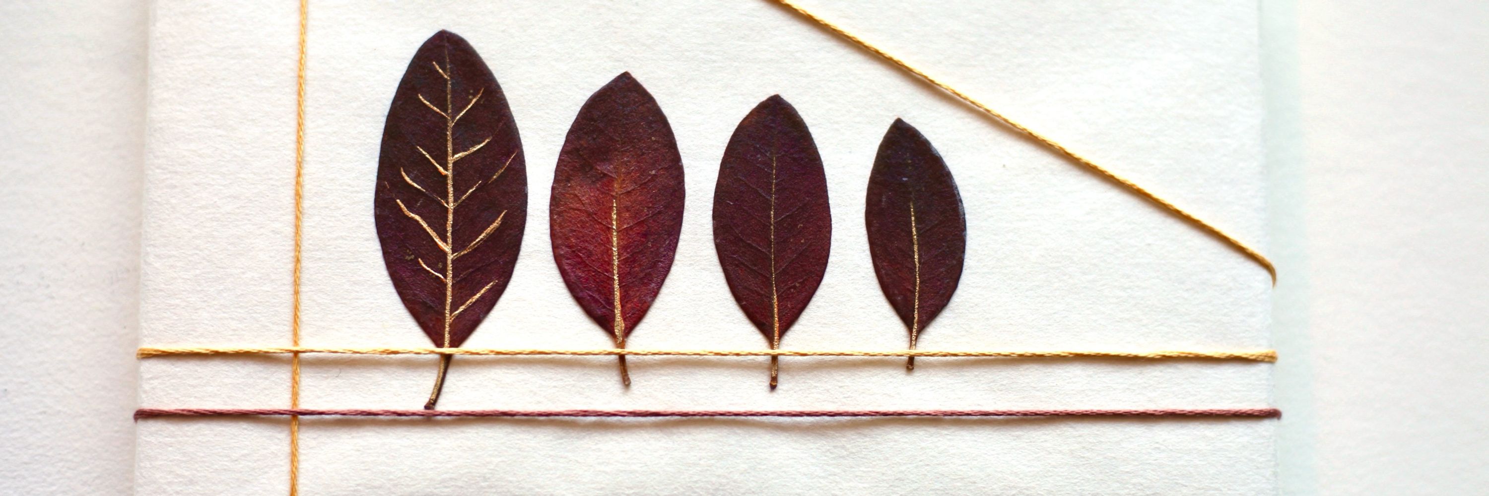 Red Leaf Studio