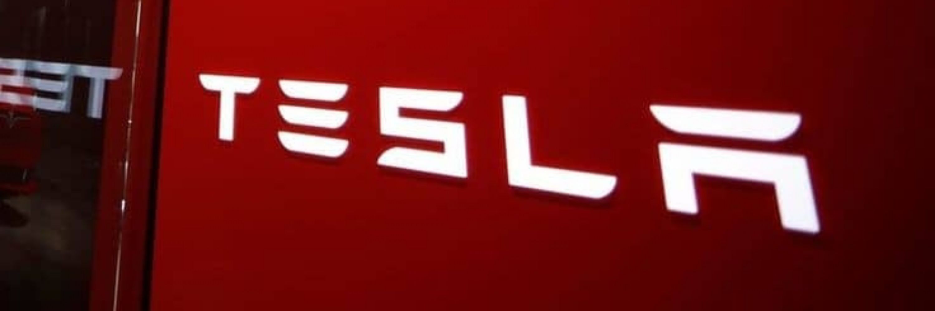 Elon Musk Lovers