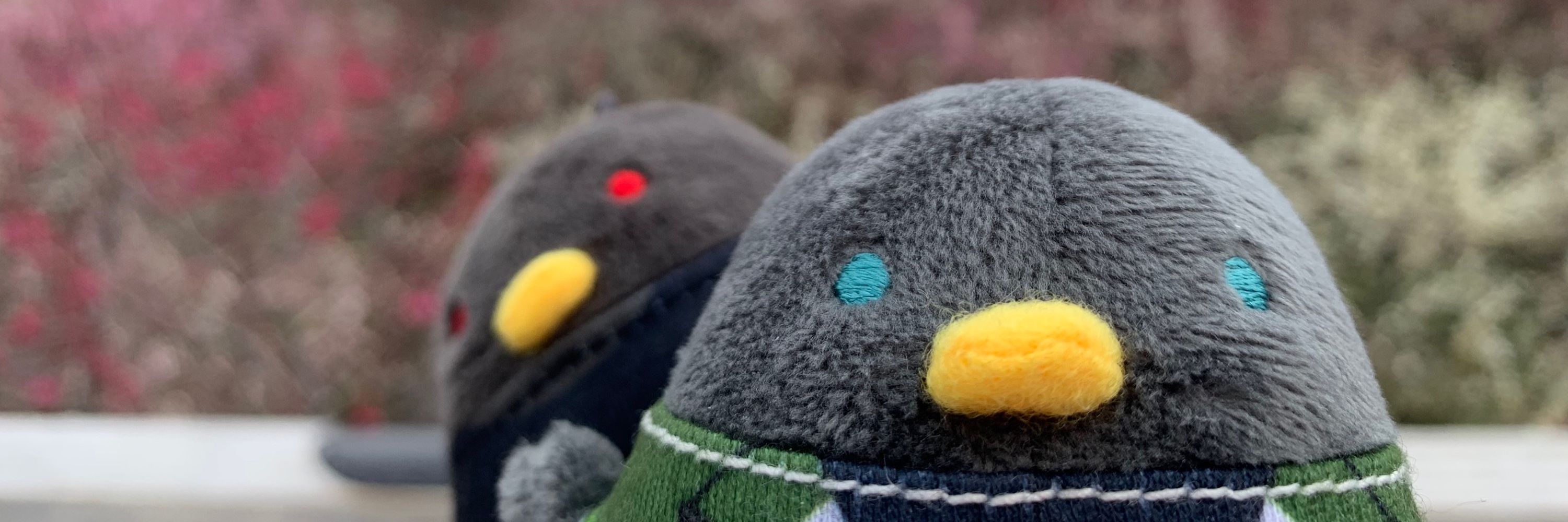 しろがね