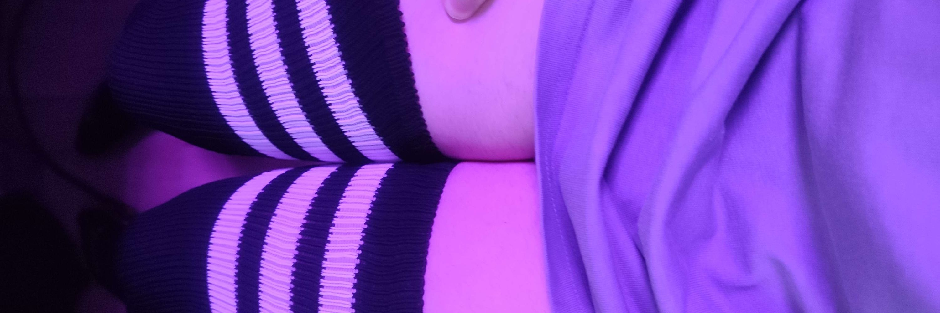 Beebo_Bee