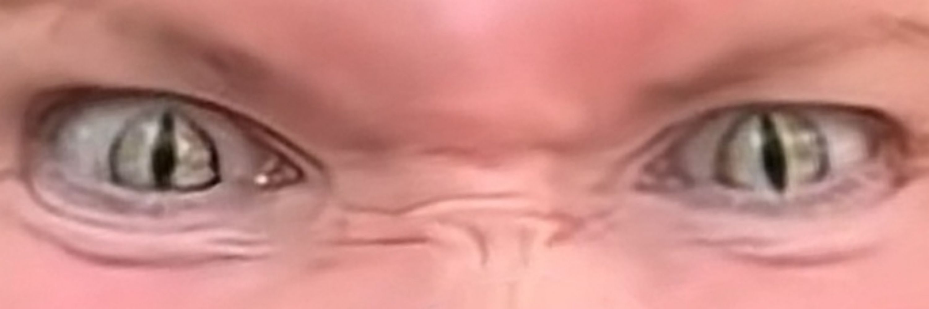 TⁱᵐDᵒART®©