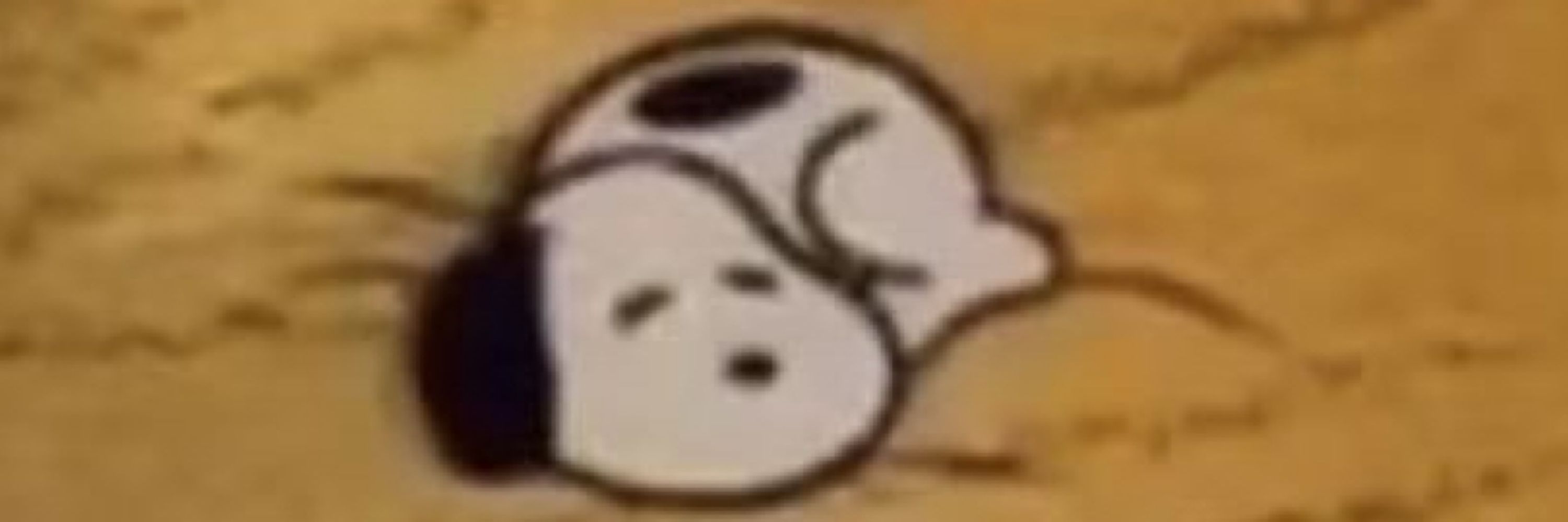 vic