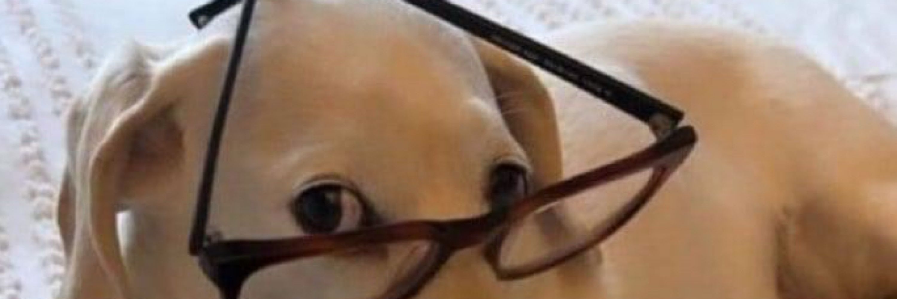 lulu