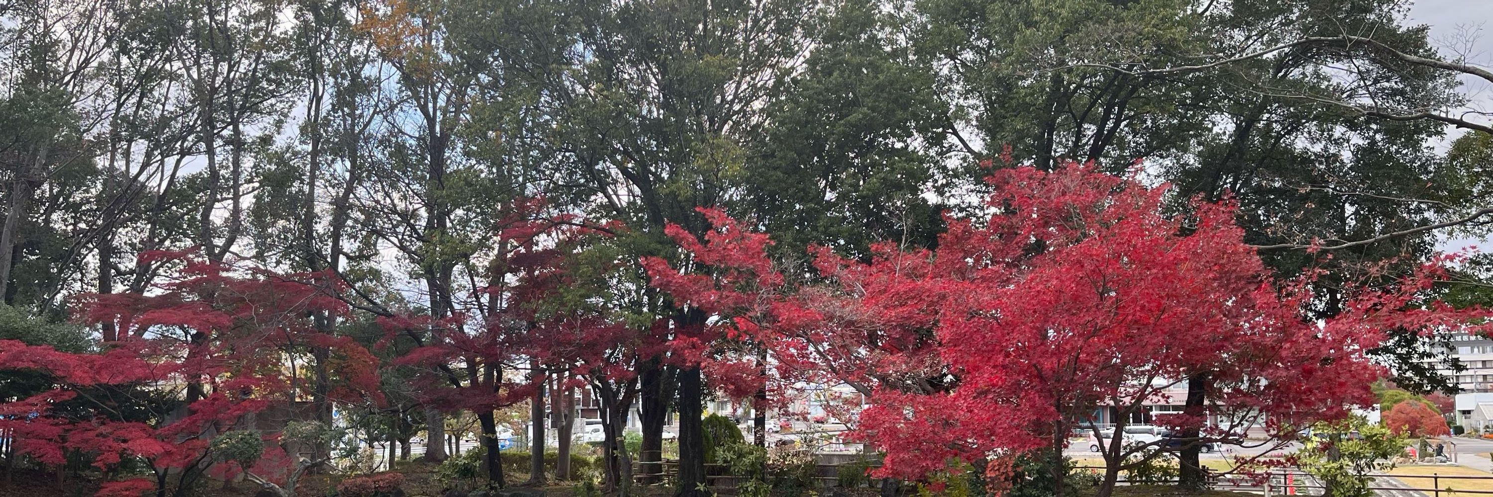 山田