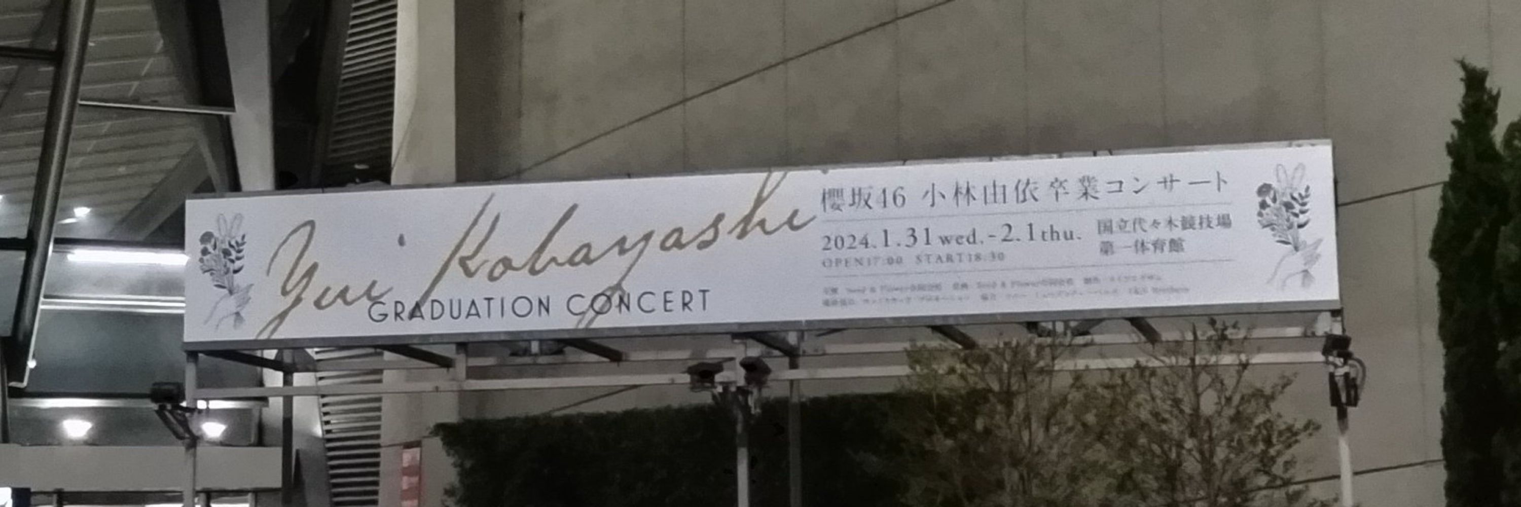 あきぴ