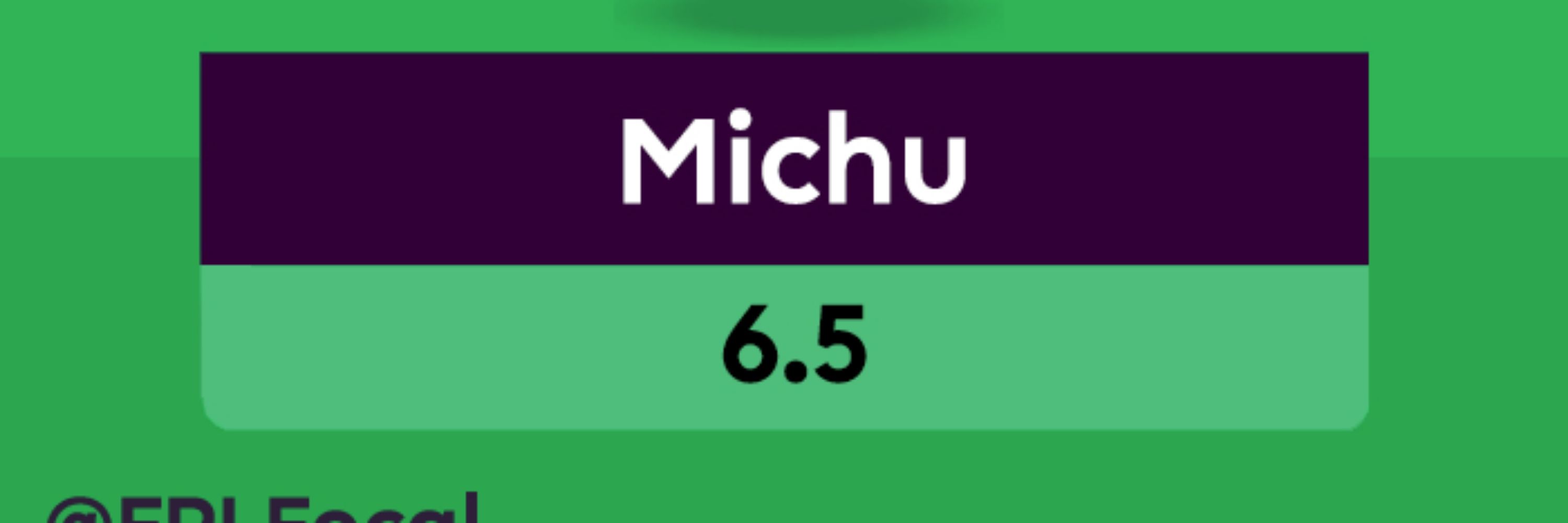 FPLMichu