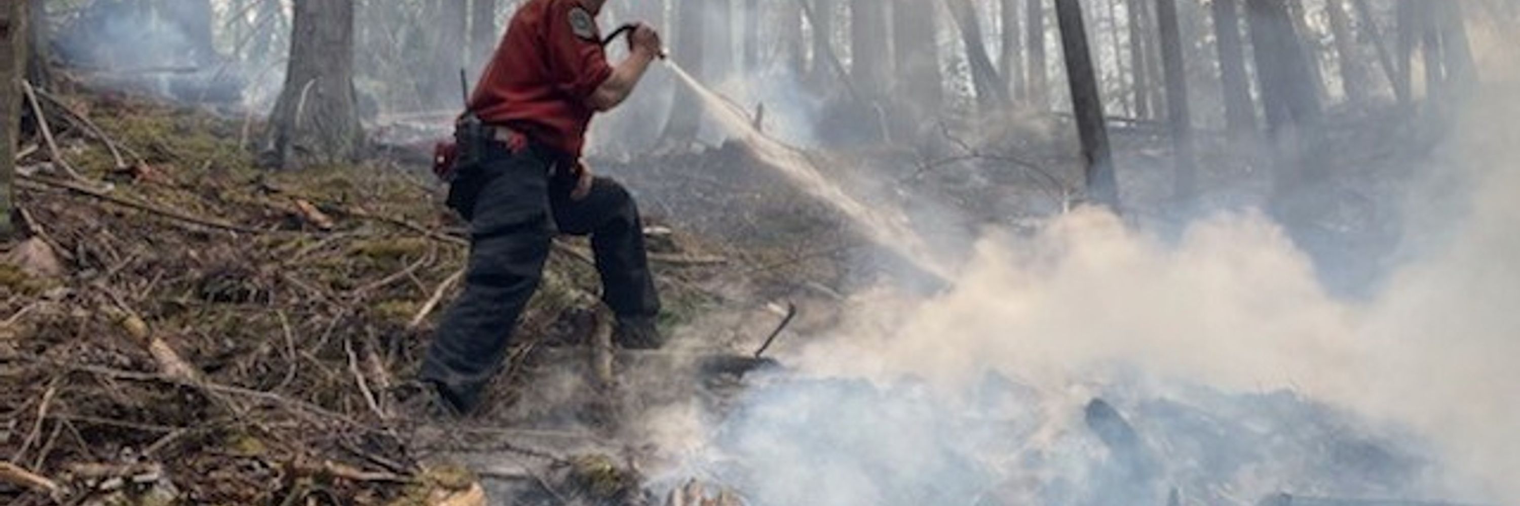 BC Wildfire Alerts Bot
