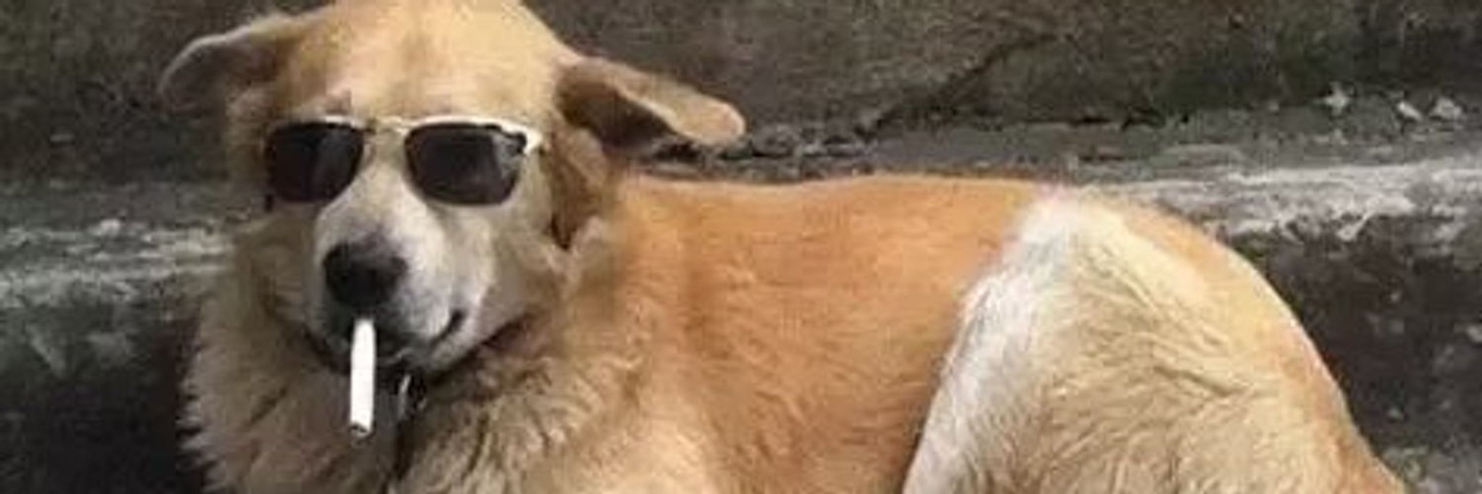 Carlos