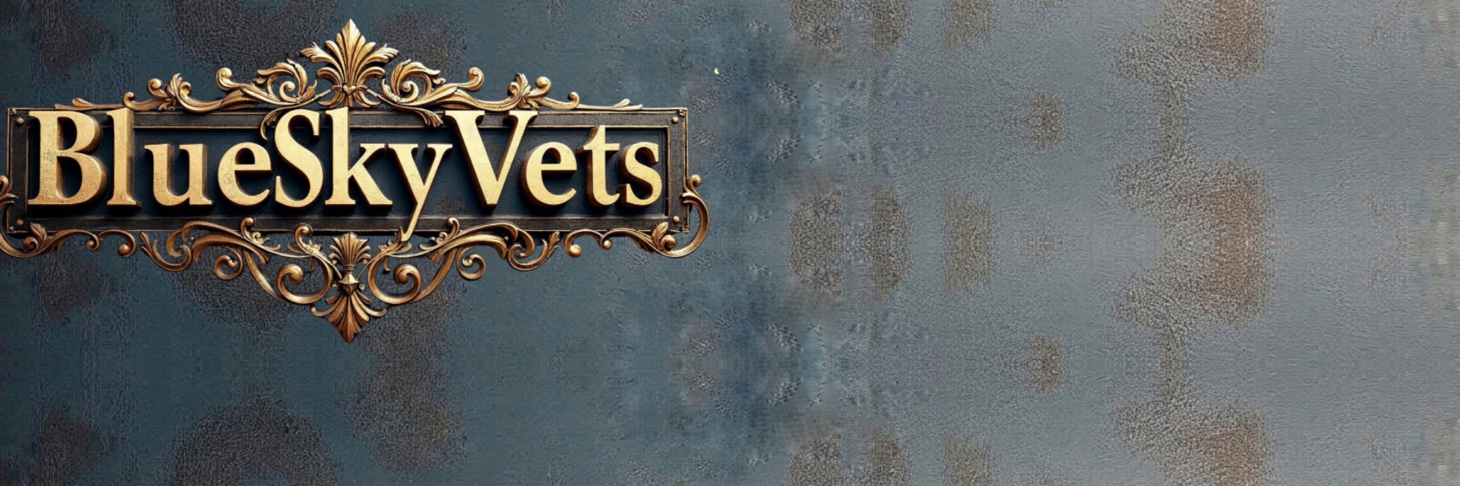 Bluesky Veterans