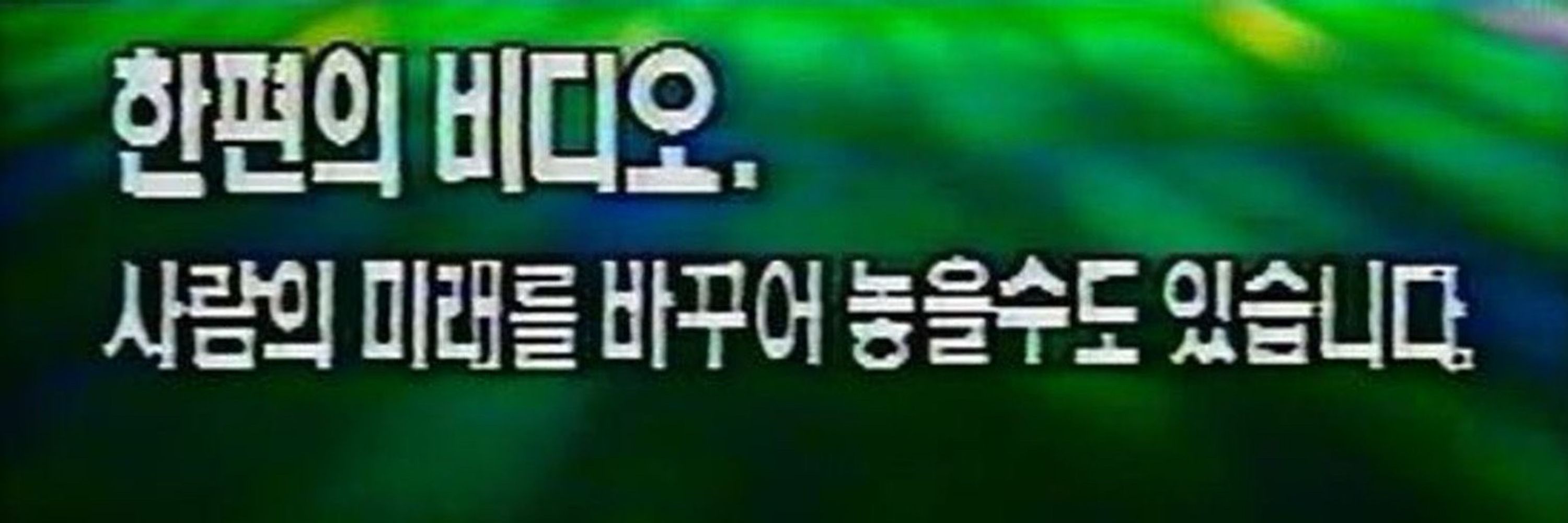 김의리