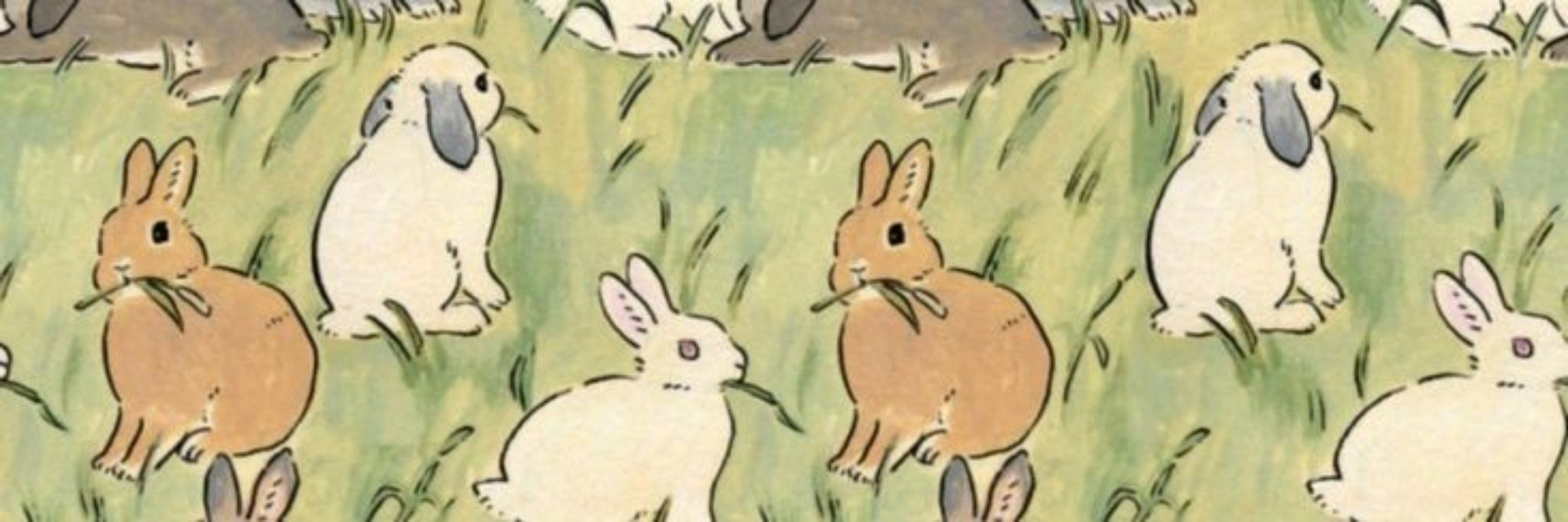 Ester 🐰