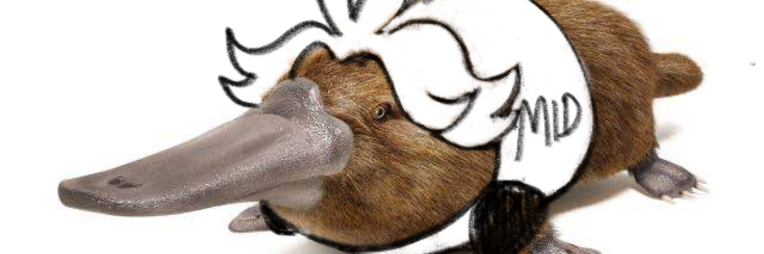Meepo