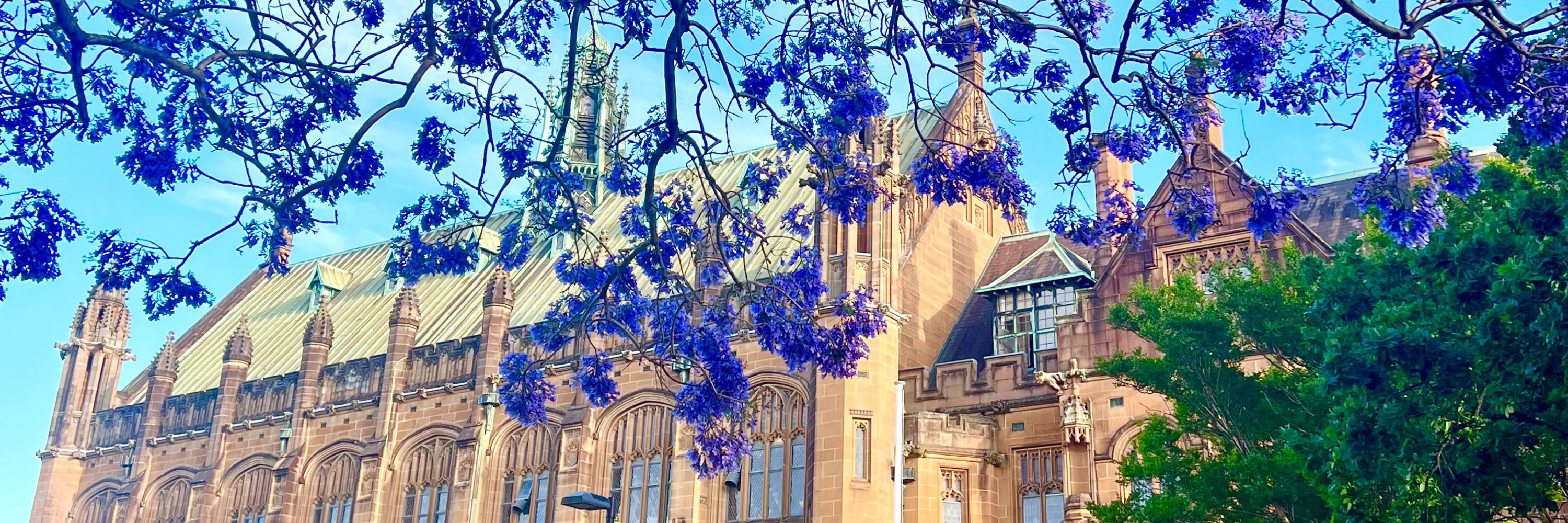 Paul Riser, DPhil (Oxon)