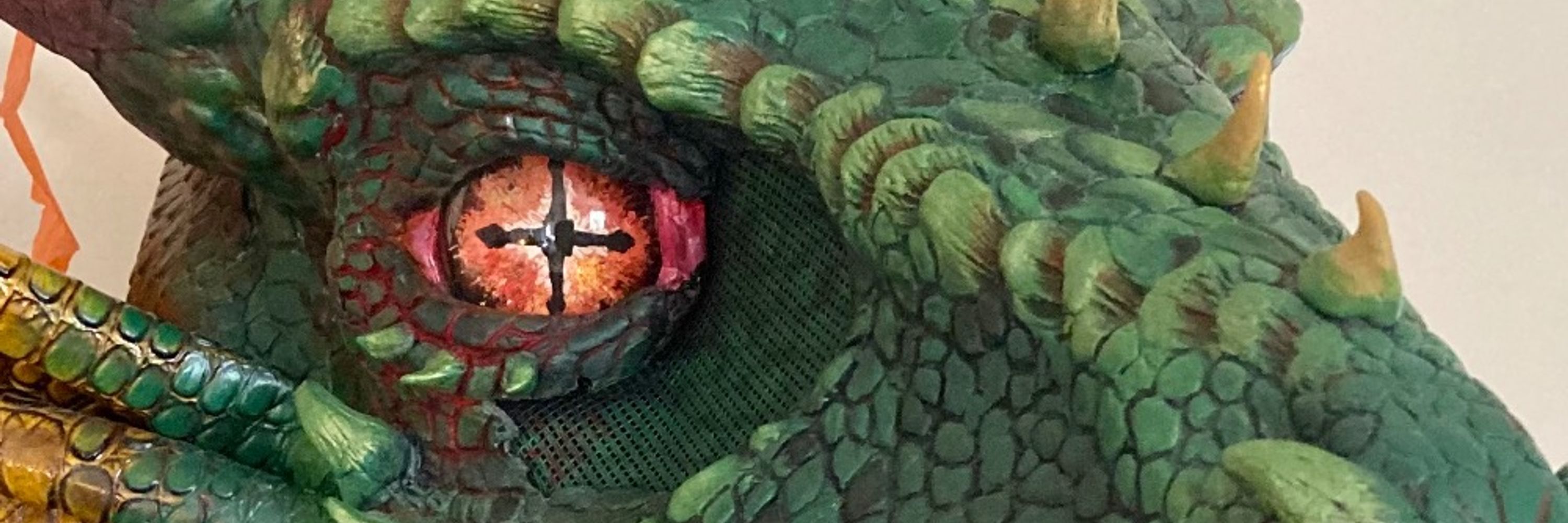 🐲 