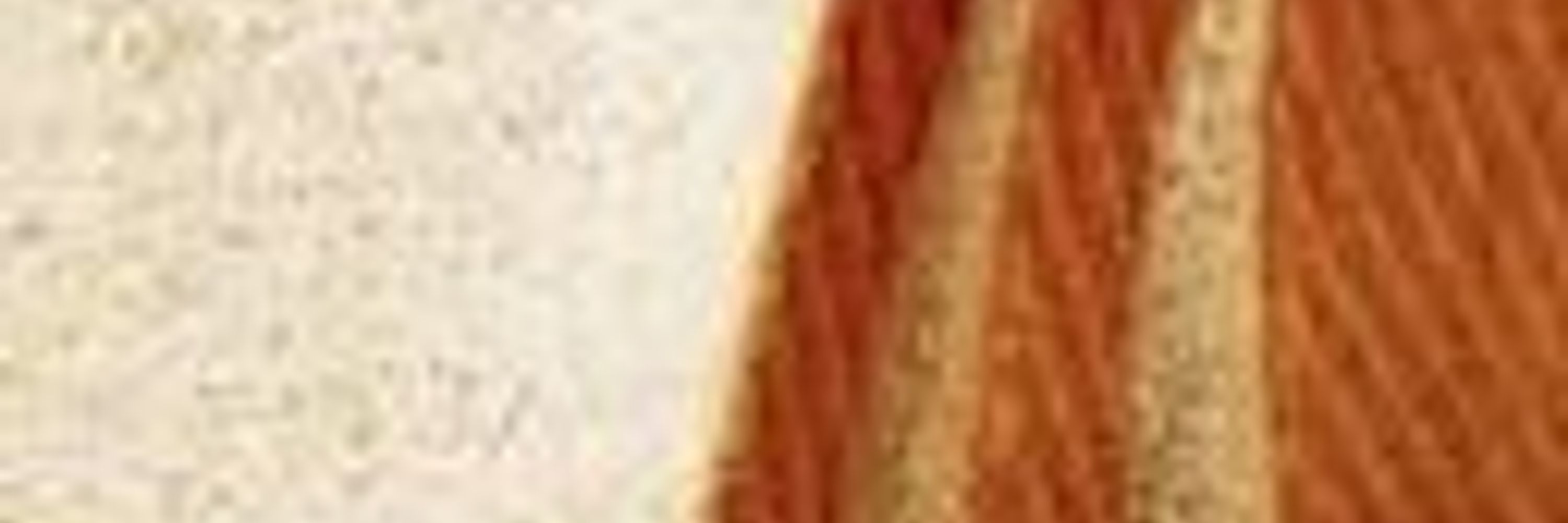 Breadlikingpigeon