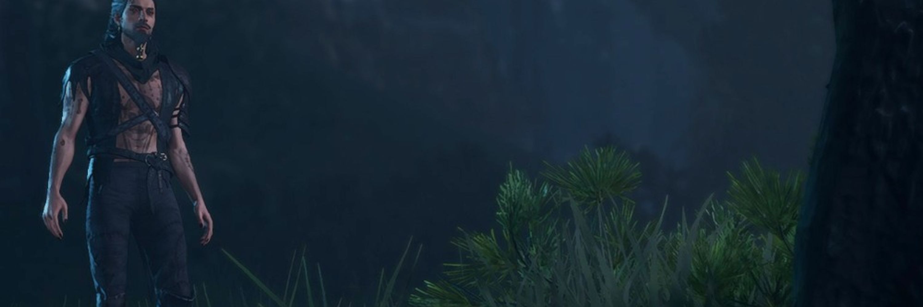 Swamp Hermit
