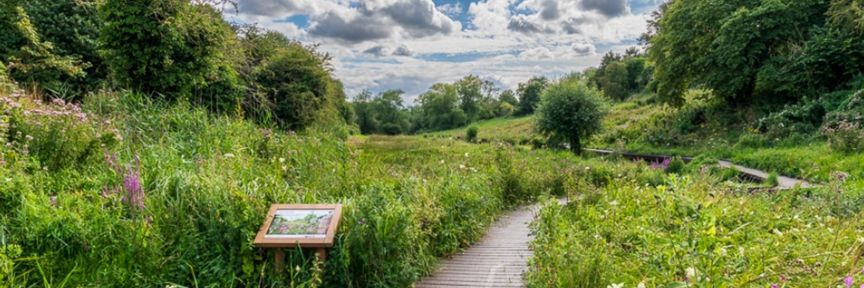 Friends of Lye Valley
