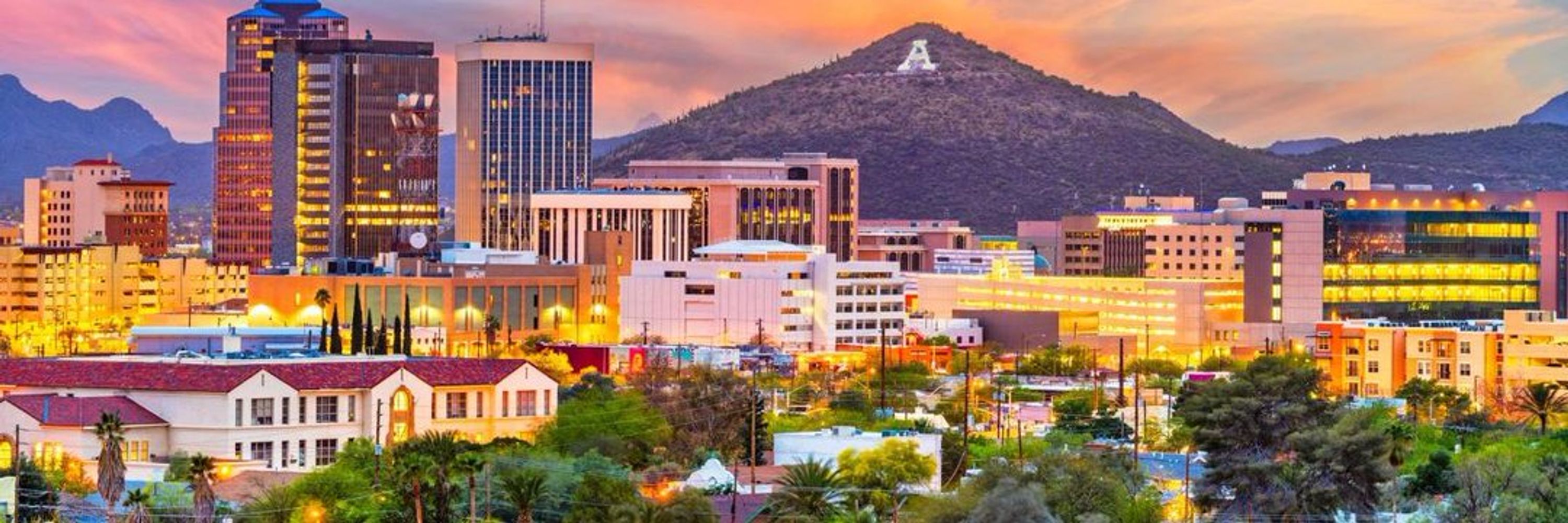 Pima County Democratic Party