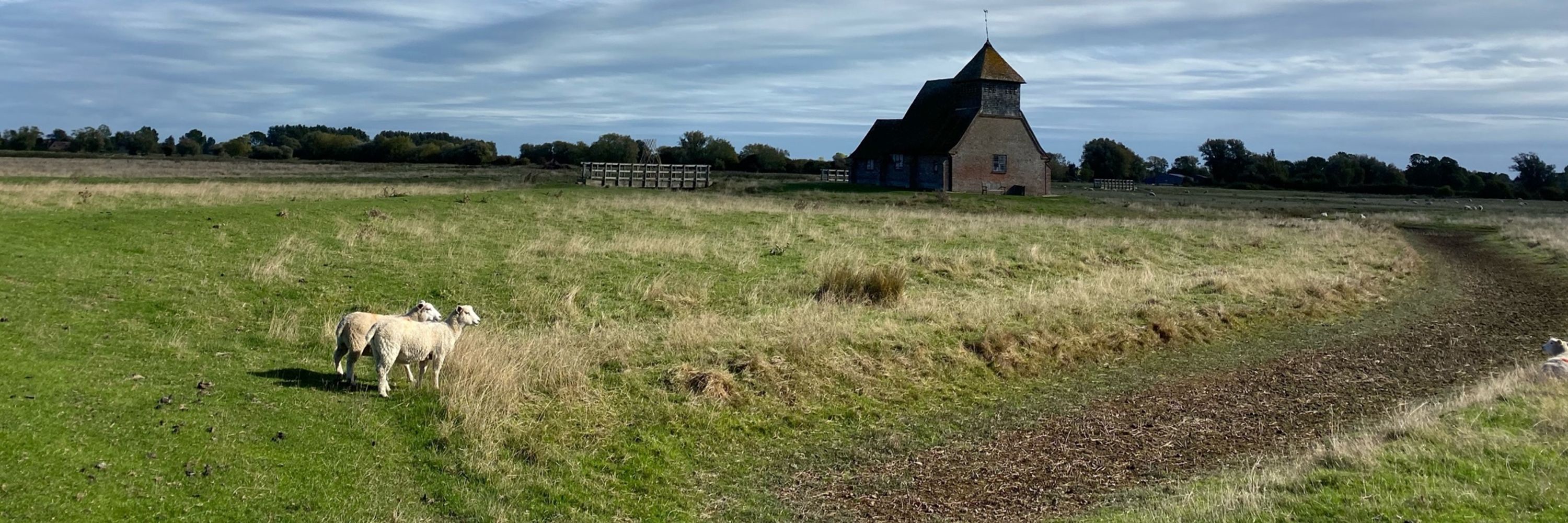 Art in Romney Marsh