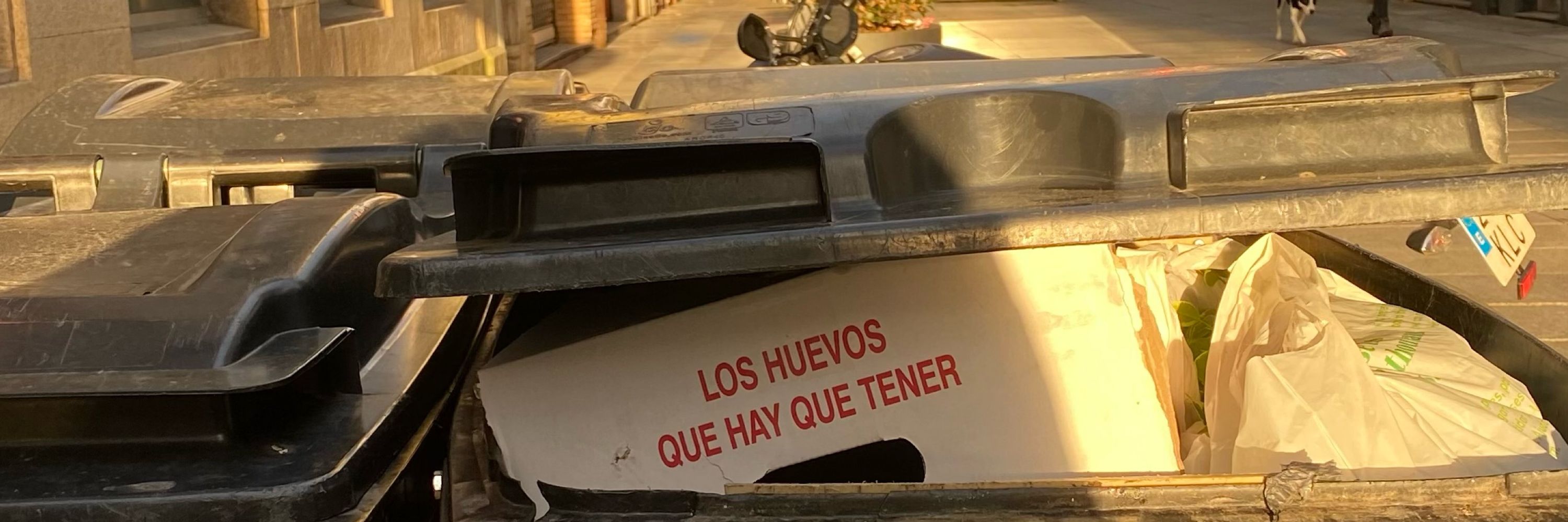 Javier
