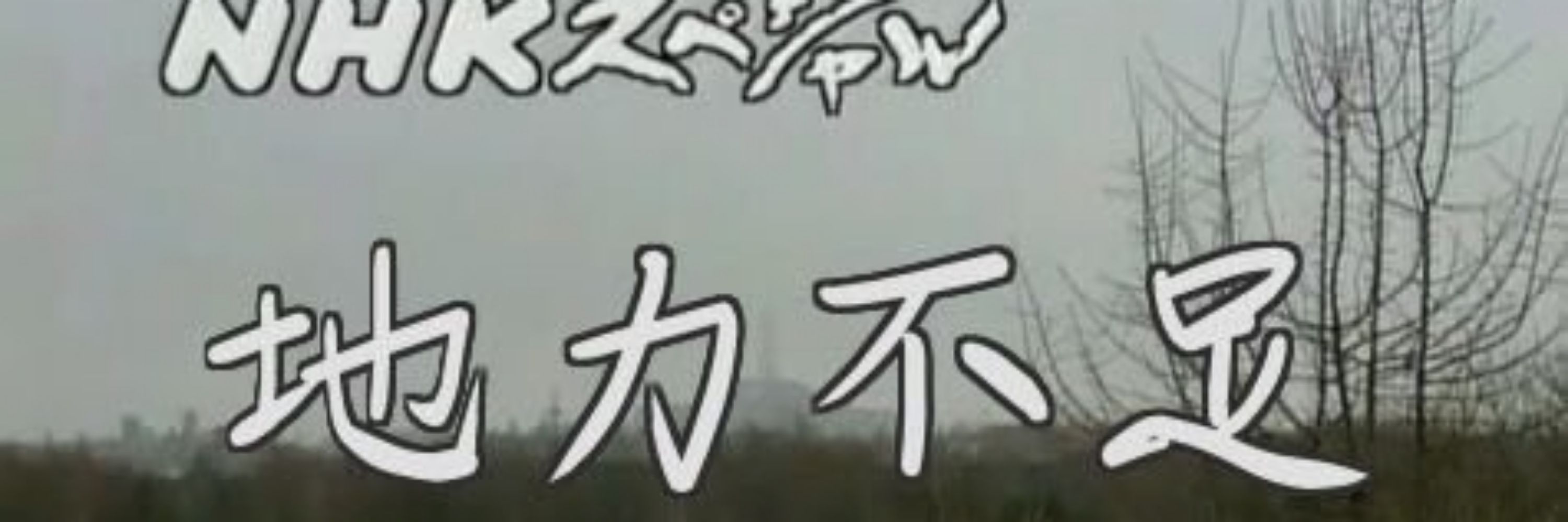 祭ぐる