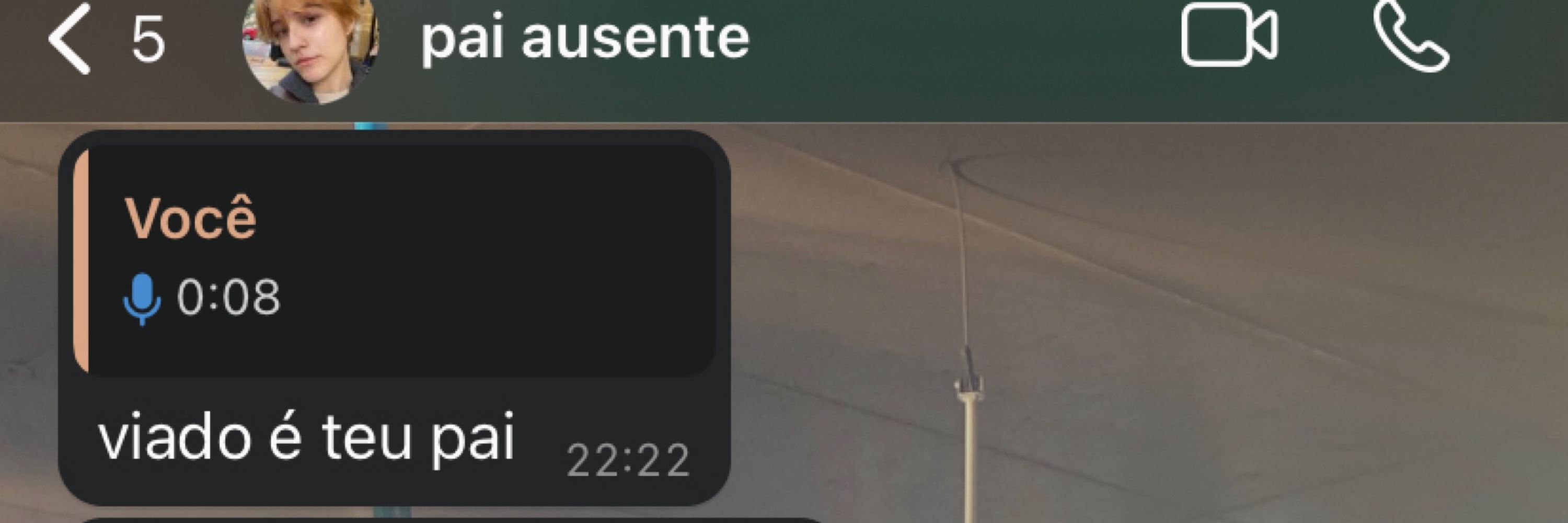 aninha 