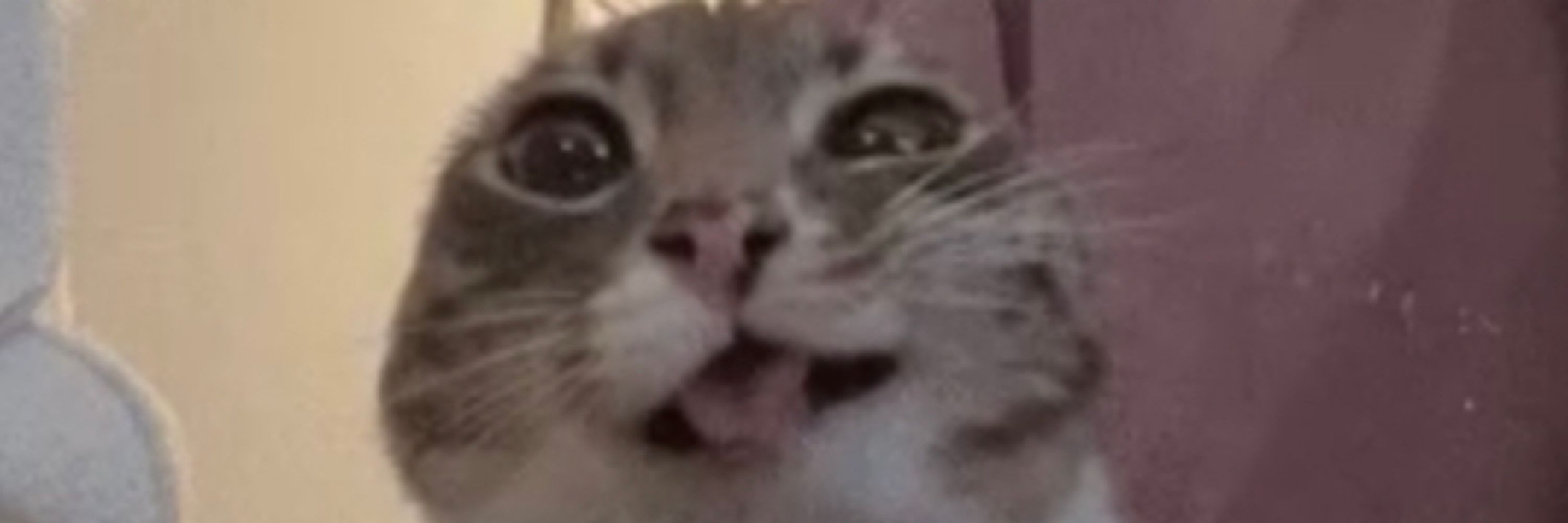 greebo