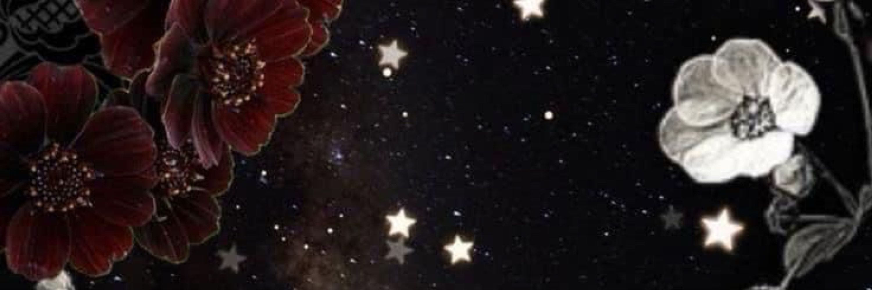 𝔐𝔞𝔫𝔡𝔶 ✨🧸🍄