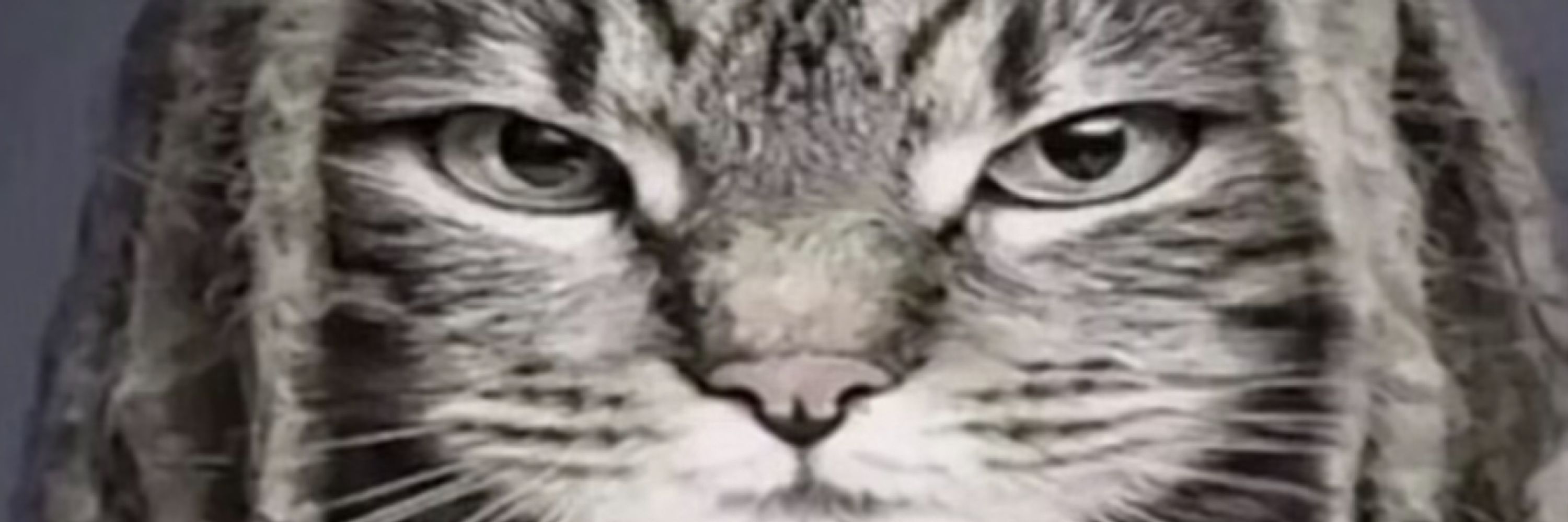 lekz