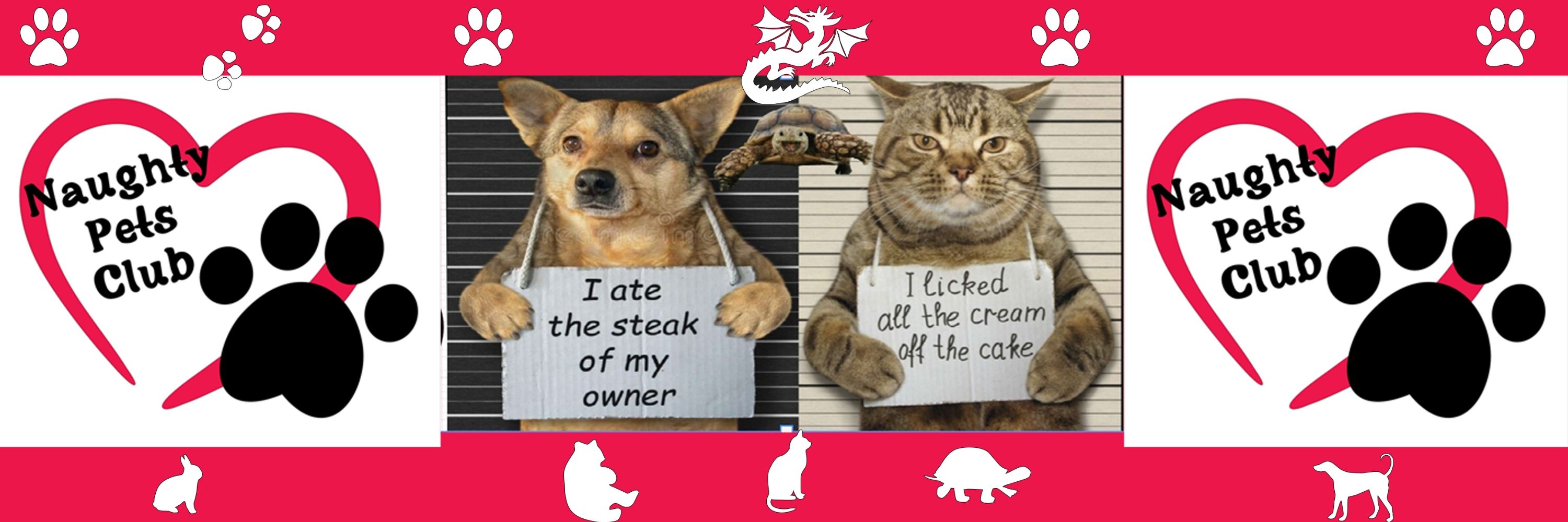 The Naughty Pussycat