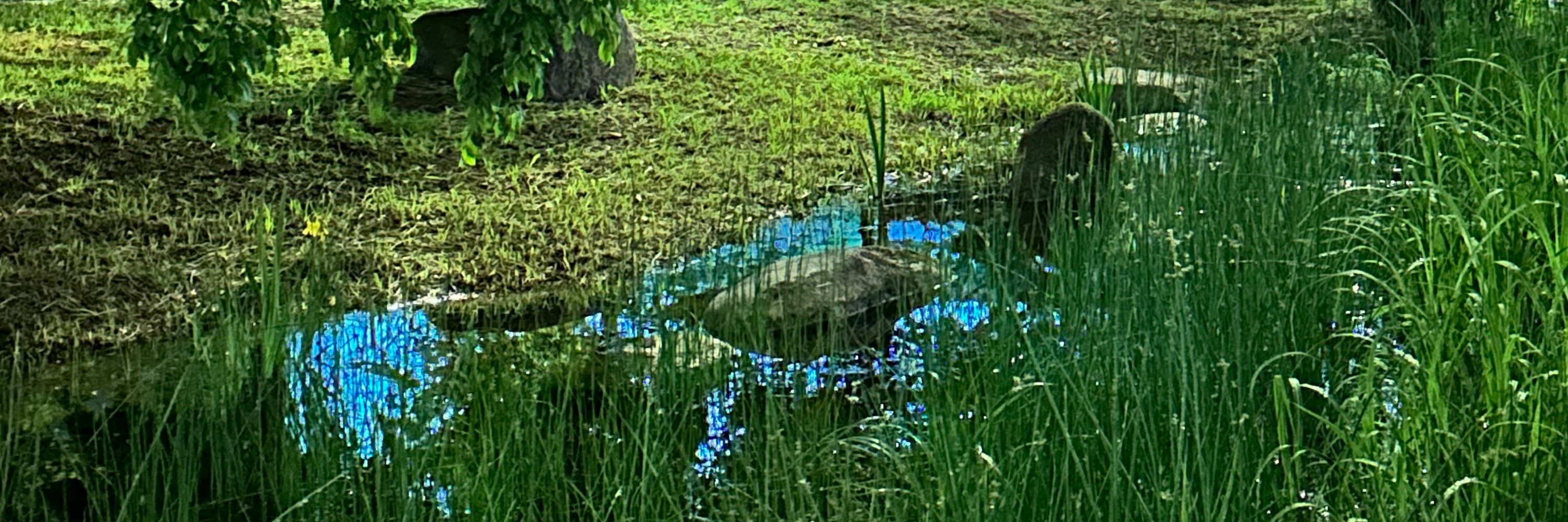 리버