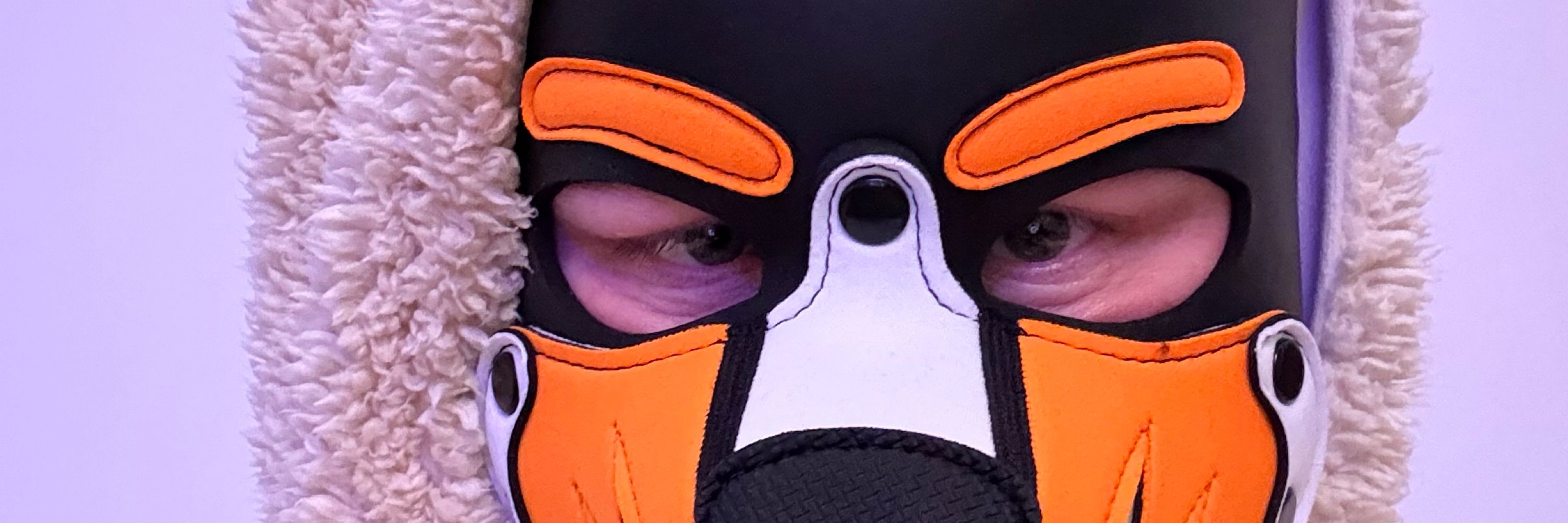 Pup_Skippy_CGN