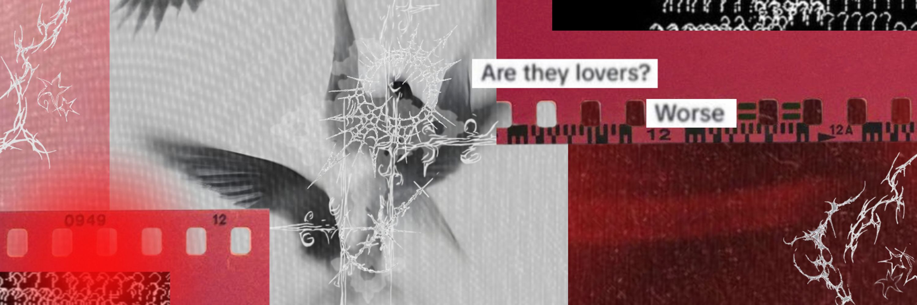 ᴀɪᴏʟɪ 🍉*+🪭۵｡