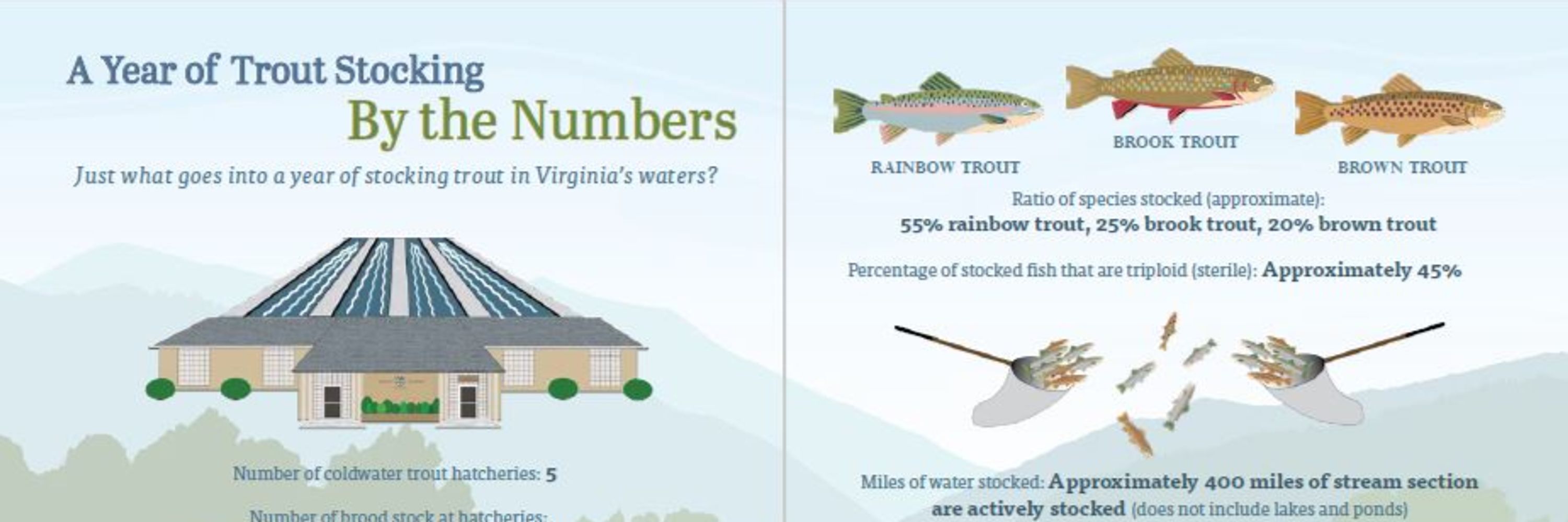 Trout Population Update