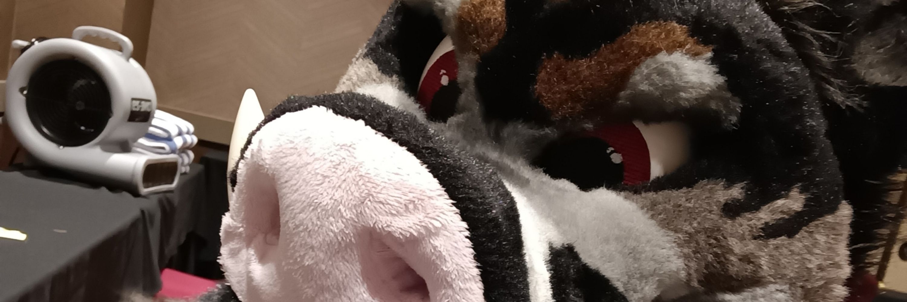 Bubtheboar