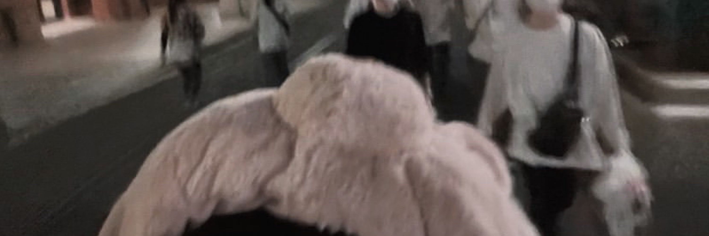 ゆず