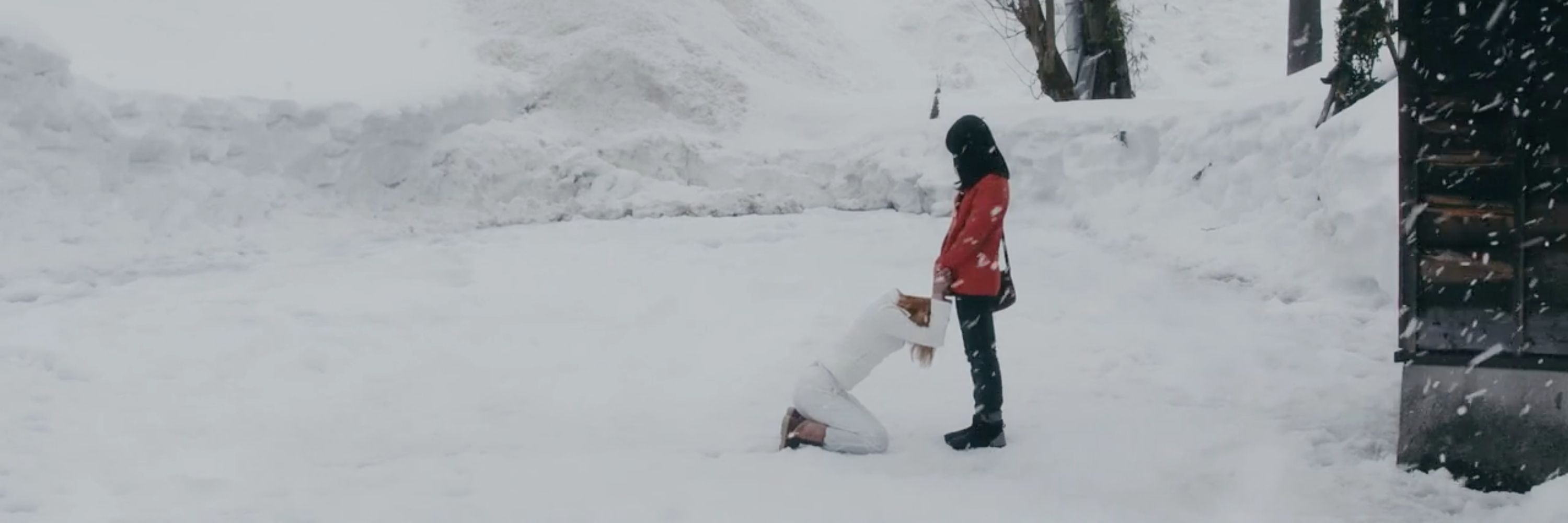 kayo