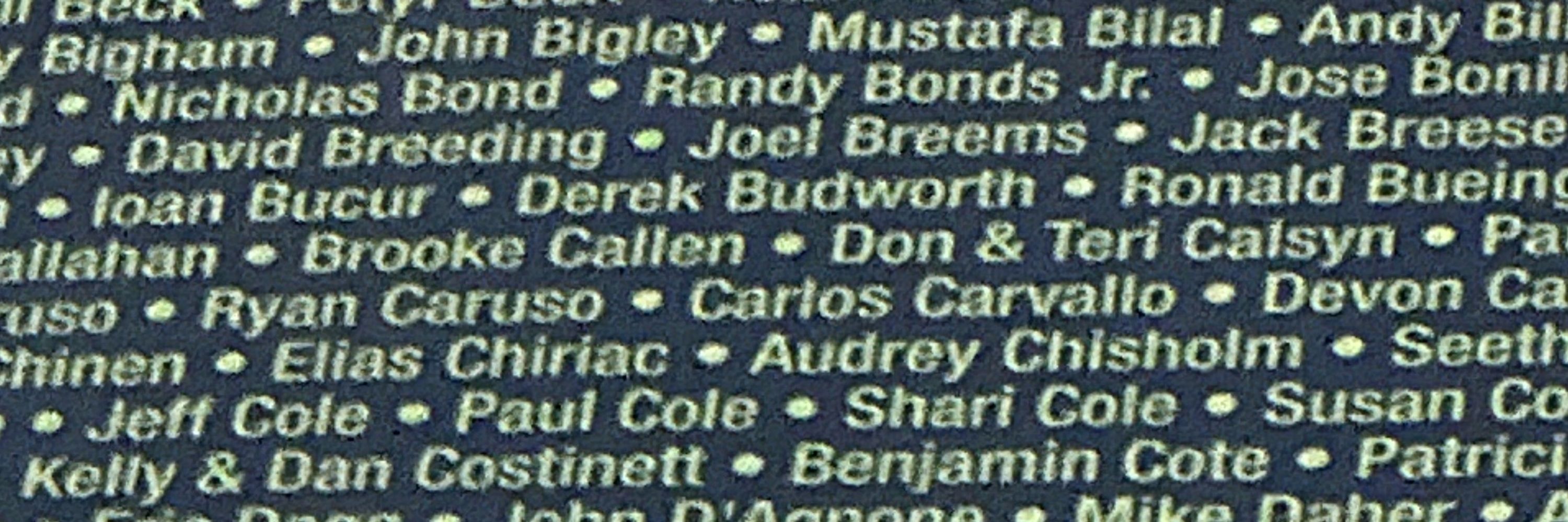 Randy Bonds Jr