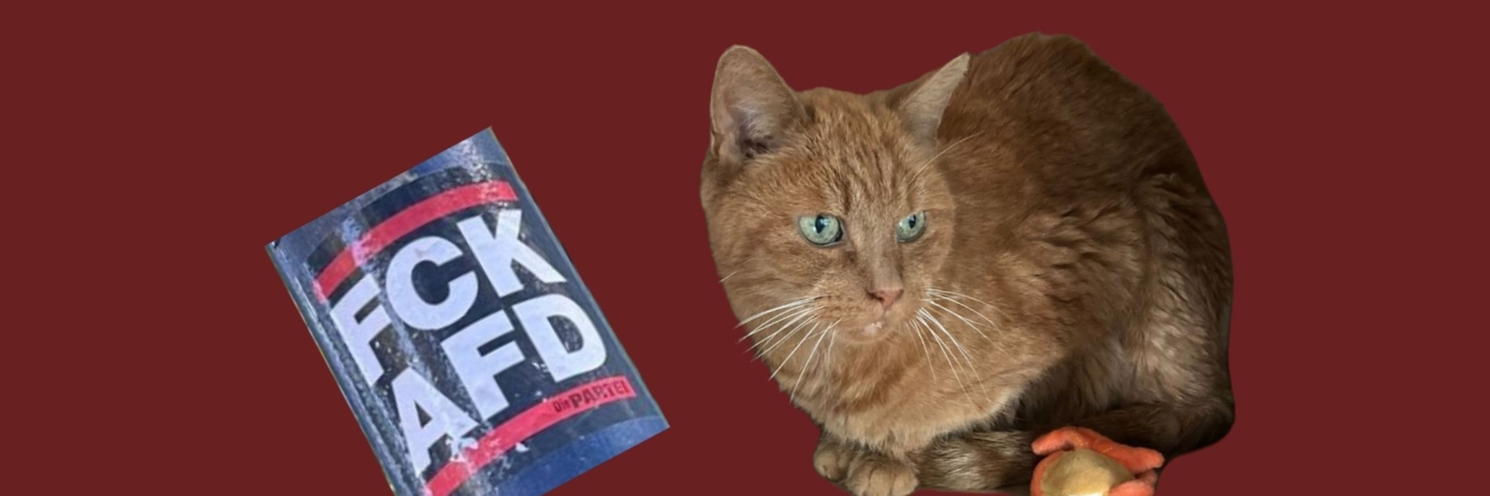 RedcatNF