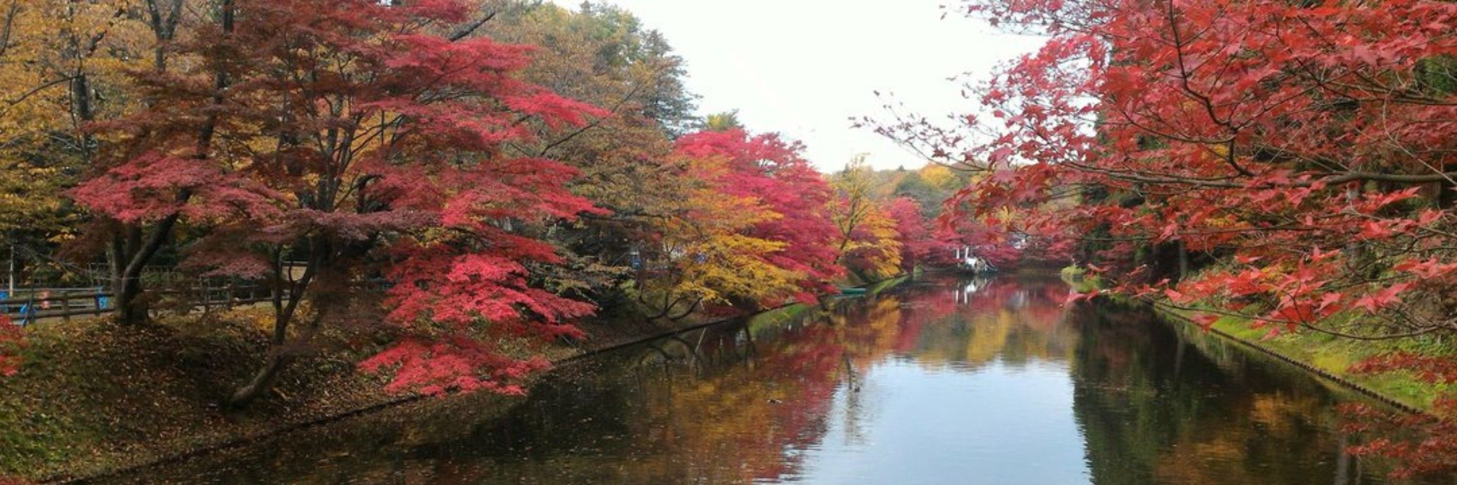 加津河レイ