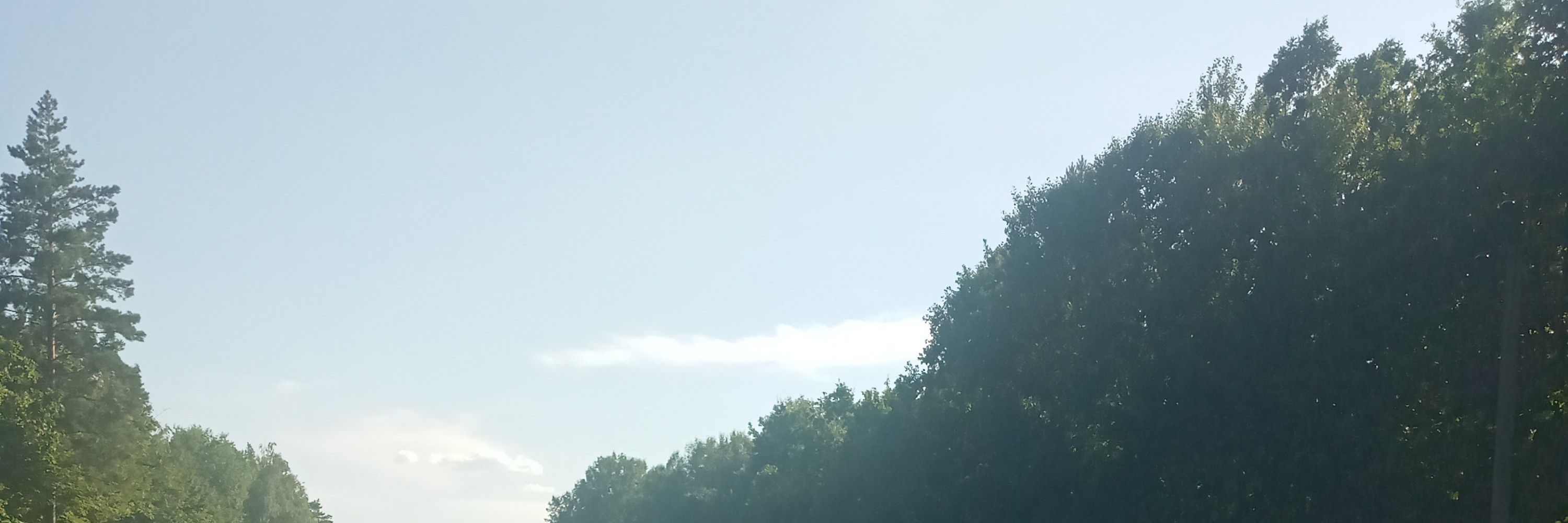 Лілія
