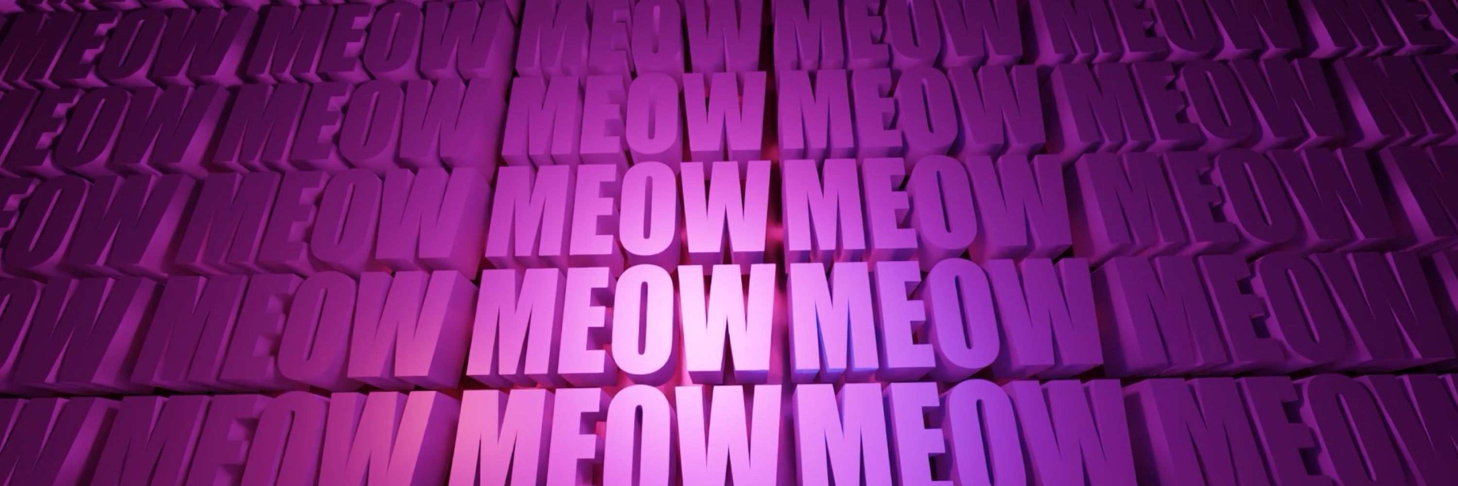~Veni The Kitty~